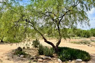 11075 S Brandywine Ln, Tucson, AZ 85736 - Photo 13