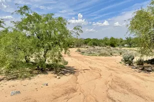 11075 S Brandywine Ln, Tucson, AZ 85736 - Photo 11
