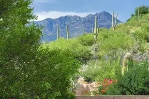 4456 N Saddle View Dr, Tucson, AZ 85750 - Photo 3