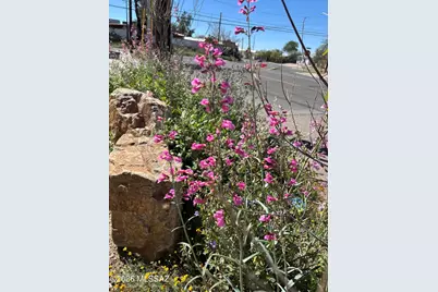671 S Main Avenue, Tucson, AZ 85701 - Photo 5