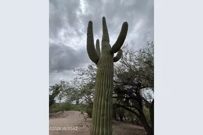 10121 E Catalina Highway, Tucson, AZ 85749 - Photo 23