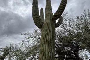 10121 E Catalina Hwy, Tucson, AZ 85749 - Photo 23