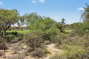 5114 W Desert Chicory Pl, Marana, AZ 85658 - Photo 49