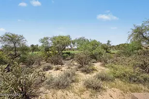 5114 W Desert Chicory Pl, Marana, AZ 85658 - Photo 47