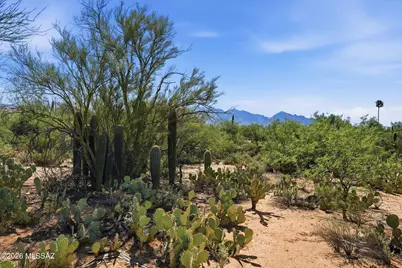 12680 N Caminito Al Sol, Tucson, AZ 85755 - Photo 3