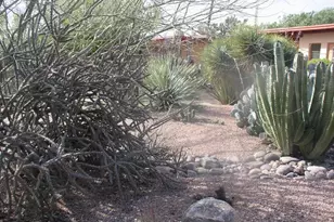 4167 E Brown Way, Tucson, AZ 85711 - Photo 11
