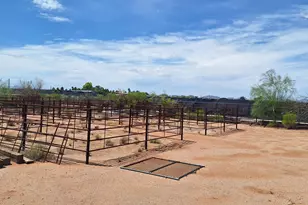 9771 N Clayton Pl, Marana, AZ 85653 - Photo 39