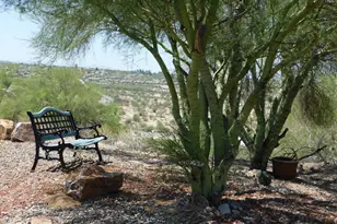 1501 W Calle Concordia, Oro Valley, AZ 85704 - Photo 41