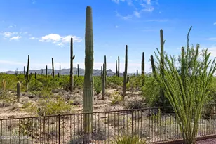 7161 W Cape Final Trail, Marana, AZ 85658 - Photo 31