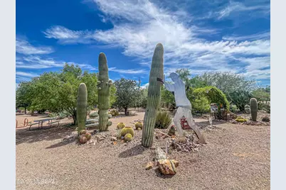 1132 S Alpine Circle, Green Valley, AZ 85614 - Photo 43