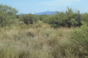 8651 E Kitty Mow Trail, Pearce, AZ 85625 - Photo 49