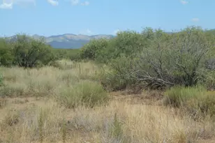 8651 E Kitty Mow Trail, Pearce, AZ 85625 - Photo 45