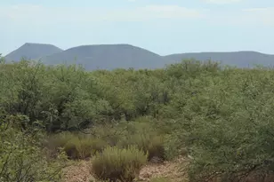 8651 E Kitty Mow Trail, Pearce, AZ 85625 - Photo 47