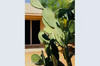 10080 E Paseo De La Masada, Tucson, AZ 85747 - Photo 41