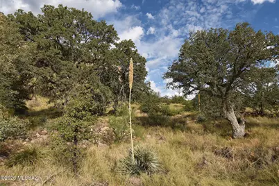 40.26 Acre W Mills Boulevard #25, Portal, AZ 85632 - Photo 11