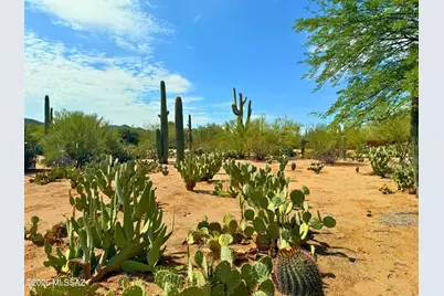 6075 N Van Ark Road, Tucson, AZ 85743 - Photo 3