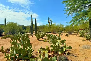 6075 N Van Ark Rd, Tucson, AZ 85743 - Photo 3
