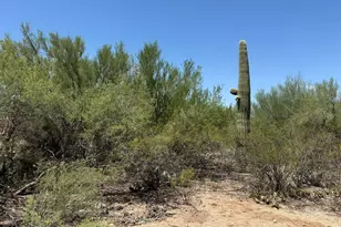 1450 S Corsica Pl, Tucson, AZ 85748 - Photo 45