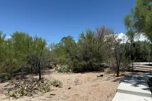 1450 S Corsica Pl, Tucson, AZ 85748 - Photo 47