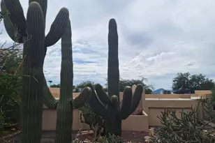 4644 E Camino Culiacan, Tucson, AZ 85718 - Photo 9