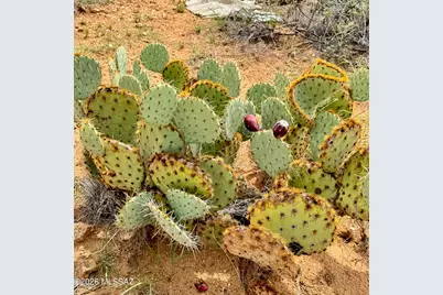 17051 S Sierrita Mountain Road, Tucson, AZ 85736 - Photo 33