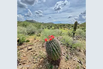 17051 S Sierrita Mountain Road, Tucson, AZ 85736 - Photo 13