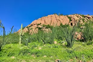 1052 Morning Star Dr, Tubac, AZ 85646 - Photo 5