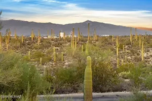 2943 W Encelia Ct, Tucson, AZ 85745 - Photo 47