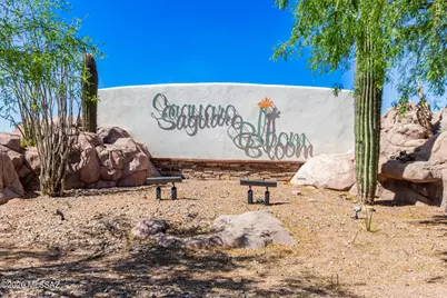 10292 N Leopard Gecko Terrace, Marana, AZ 85653 - Photo 27