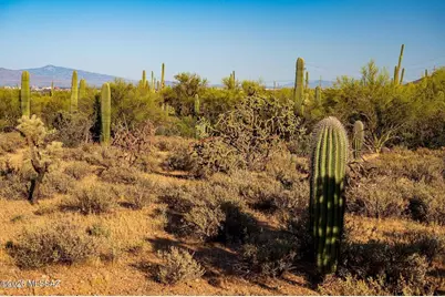 2595 N Lloyd Bush Drive, Tucson, AZ 85745 - Photo 43