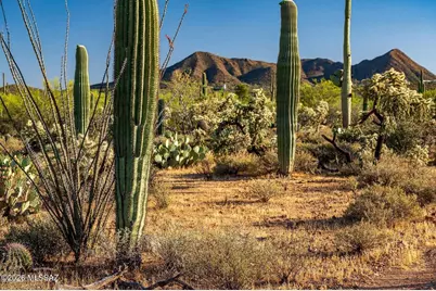 2595 N Lloyd Bush Drive, Tucson, AZ 85745 - Photo 37