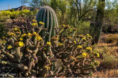 2595 N Lloyd Bush Drive, Tucson, AZ 85745 - Photo 45