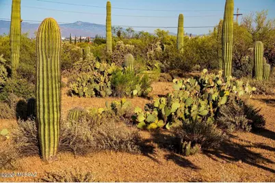2595 N Lloyd Bush Drive, Tucson, AZ 85745 - Photo 39