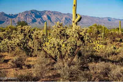 2595 N Lloyd Bush Drive, Tucson, AZ 85745 - Photo 41