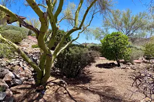 3955 W Coyote Ridge Trail, Tucson, AZ 85746 - Photo 9