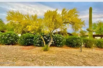 3350 W Ruthann Road, Tucson, AZ 85745 - Photo 41