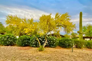 3350 W Ruthann Rd, Tucson, AZ 85745 - Photo 41