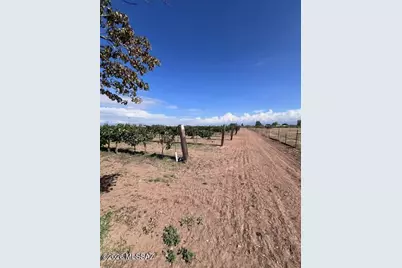 6044 W High Desert Road, Willcox, AZ 85643 - Photo 21