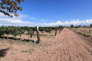 6044 W High Desert Rd, Willcox, AZ 85643 - Photo 21