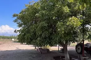 6044 W High Desert Rd, Willcox, AZ 85643 - Photo 15