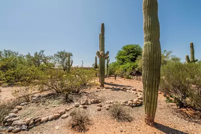 6010 N Canyon Drive, Tucson, AZ 85704 - Photo 45