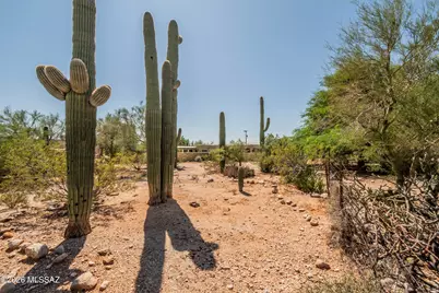 6010 N Canyon Drive, Tucson, AZ 85704 - Photo 41