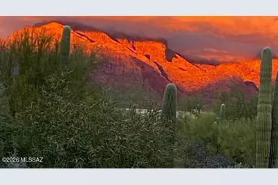 6010 N Canyon Drive, Tucson, AZ 85704 - Photo 5