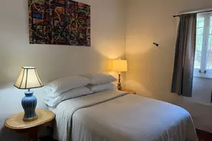720 N Alder Ave, Tucson, AZ 85705 - Photo 29