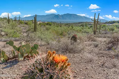 5810 N Abington Road #113, Tucson, AZ 85743 - Photo 1
