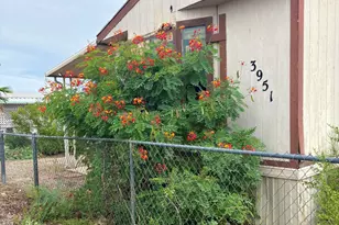 3951 S Emjay Ave, Tucson, AZ 85735 - Photo 1