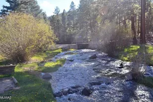 32 1009 Unit 10 (Cabin 90), Greer, AZ 85927 - Photo 5