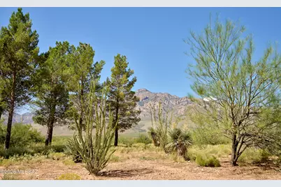 294 W Sanford Road, Portal, AZ 85632 - Photo 27