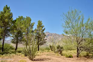 294 W Sanford Rd, Portal, AZ 85632 - Photo 27
