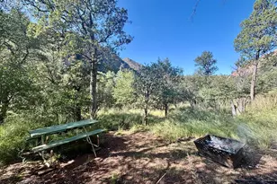13208 E Turkey Creek Rd, Pearce, AZ 85625 - Photo 3